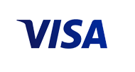 visa icon