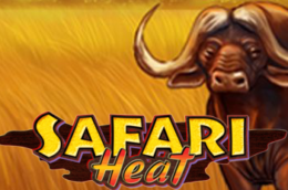 Safari Heat thumb