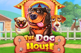 thedoghouse thumb